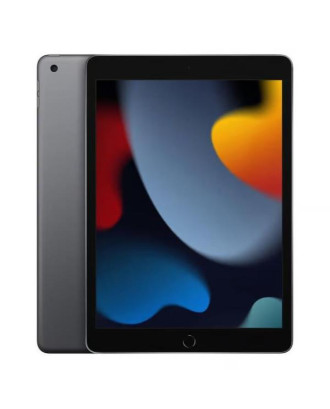 Apple iPad 10.2 2021 A2602 9 th Geração 256GB WiFi Gris Preto - Grade A